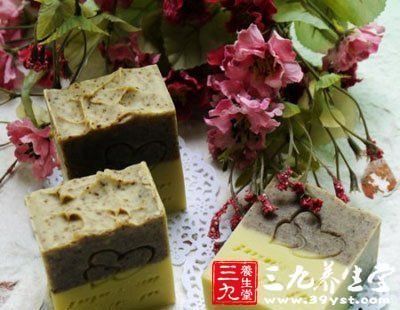 招財貓龍頭和抽拉龍頭哪個好？全方位對比解析 招財貓龍頭和抽拉龍頭哪個好？全方位對比解析 龍魚百科 第3張
