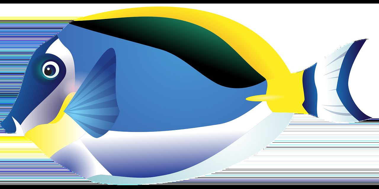 魚缸怎么樣爆綠藻呢（魚缸如何爆綠苔）