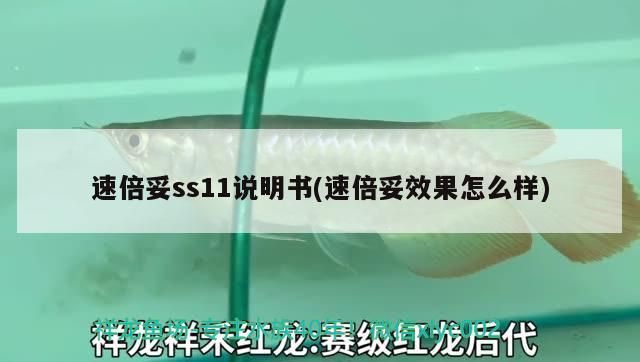 速倍妥ss11說明書(速倍妥效果怎么樣)