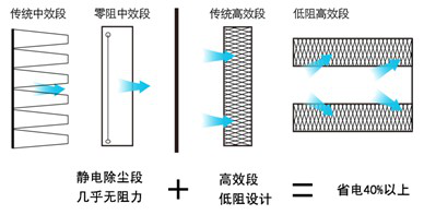 招財龍魚圖片，風水寶物與觀賞藝術的完美結合
