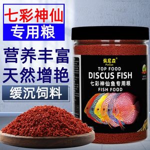 招財龍魚水溫40度正常嗎？全面解析龍魚適宜水溫及養護要點