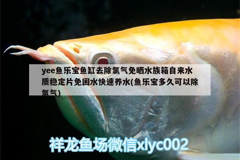yee魚樂(lè)寶魚缸去除氯氣免曬水族箱自來(lái)水質(zhì)穩(wěn)定片免困水快速養(yǎng)水(魚樂(lè)寶多久可以除氯氣)