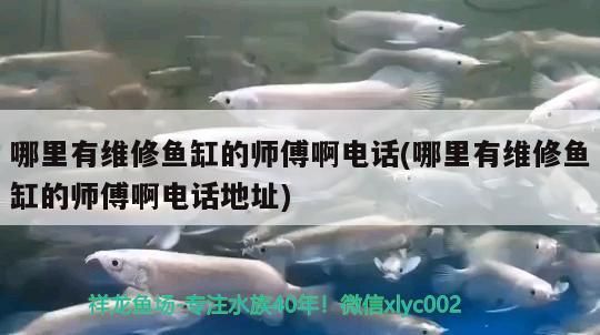 魚缸會破裂嗎 魚缸會破裂嗎怎么修復