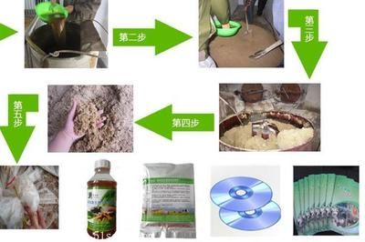 招財龍是雜牌子還是名牌？揭秘其品牌定位與市場表現