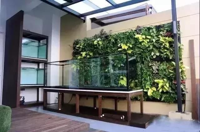 招財金龍魚擺放圖，風水布局與財富吸引的完美指南