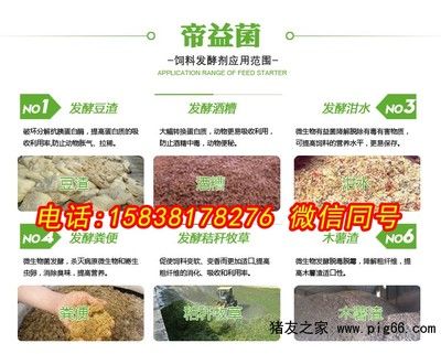 長壽客是正規品牌嗎？深度解析品牌背景與市場口碑