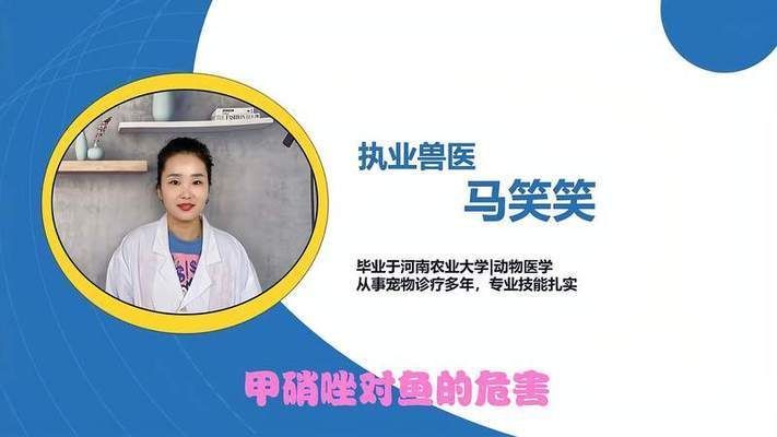 甲硝唑?qū)︺y龍魚有傷害嗎vs祥龍魚場(chǎng)：甲硝唑?qū)︺y龍魚和祥龍魚場(chǎng)影響的研究