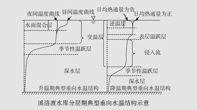 怎樣養(yǎng)殖黃鱔，從選址到管理的全面指南