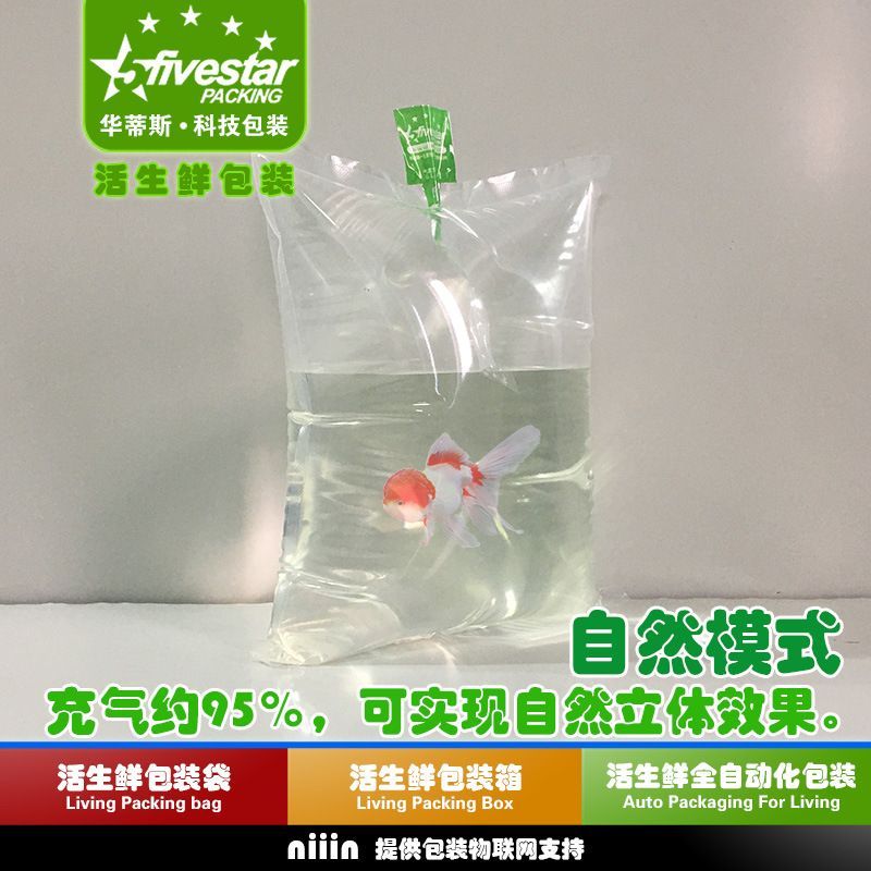 袋裝觀賞魚多久開袋（袋裝觀賞魚的繁殖周期）