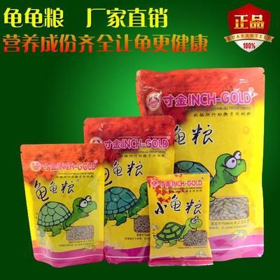 如何讓銀龍魚不再怕人，實用技巧與科學方法