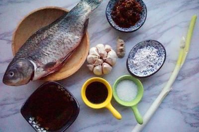 怎么判斷魚缸里有沒有魚，全面指南