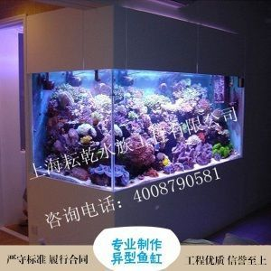 魚缸搬運方法圖解大全（魚缸搬運方法圖解大全圖片）