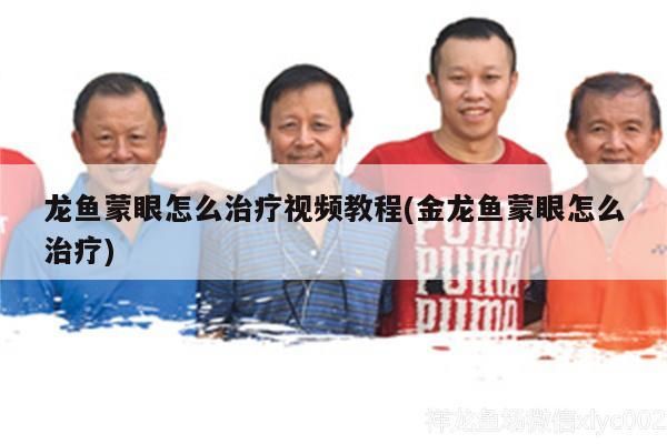 龍魚蒙眼怎么治療視頻教程(金龍魚蒙眼怎么治療)