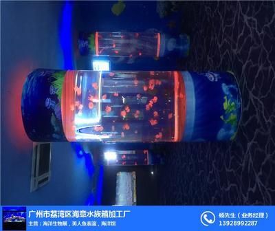怎么判斷白文鳥懷孕了？全面指南與實用技巧