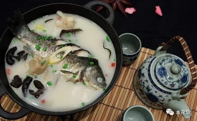 怎么能把魚缸水質調好，全面指南
