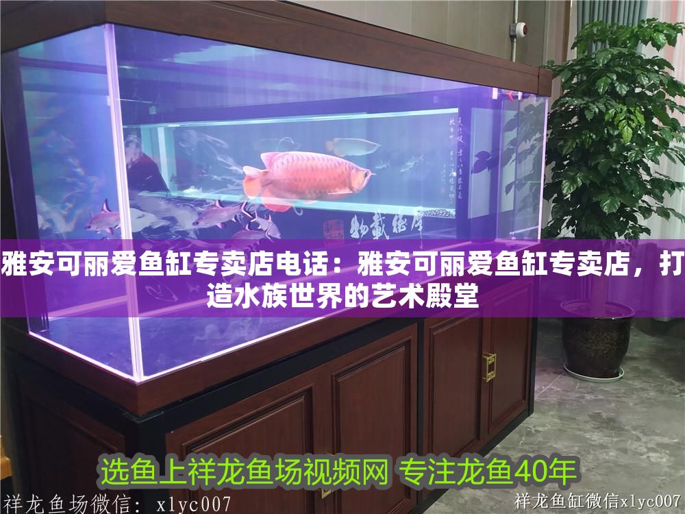 雅安可麗愛魚缸專賣店電話：雅安可麗愛魚缸專賣店，打造水族世界的藝術殿堂