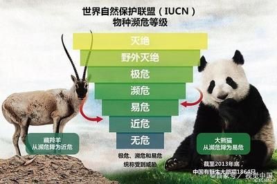 豬鼻龜保護級別標準：豬鼻龜保護等級劃分標準