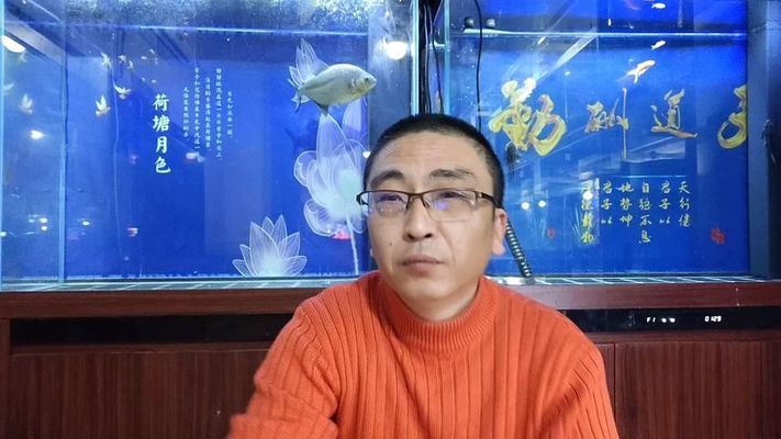 農村魚缸放在客廳東墻的風水講究與實用建議