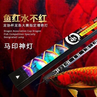 馬印水族用品怎么樣：馬印水族用品