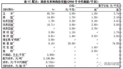 富貴吉祥，寓意好有財運的魚的文化與象征