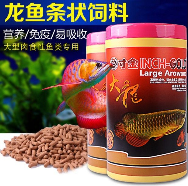 玉魚龍，中國古代文化中的神秘象征與歷史典故
