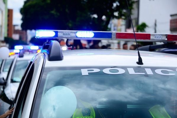 豬鼻龜容易死嗎：關于豬鼻龜是否容易死亡的詳細解析 豬鼻龜容易死嗎：關于豬鼻龜是否容易死亡的詳細解析 豬鼻龜百科 第6張