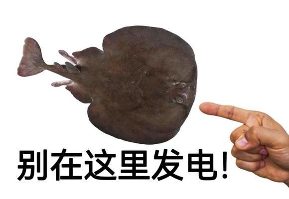 魚嘴朝哪里最吉利？揭秘風水布局中的魚口朝向奧秘