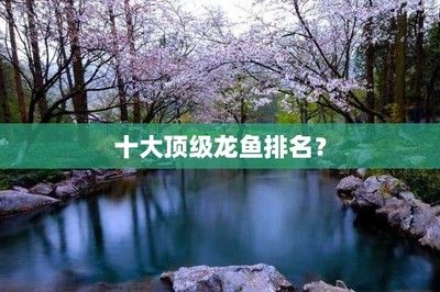戰船招財魚能和龍魚一起養嗎視頻：戰船招財魚與龍魚混養之探究