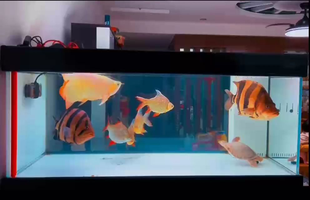 愉悅的心情！