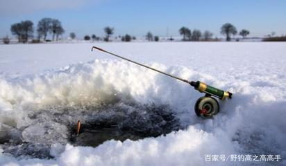 魚在水面飄著一動不動，自然現(xiàn)象背后的生態(tài)密碼