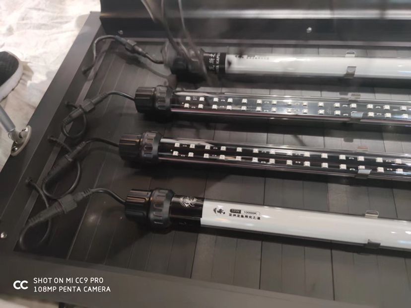 愛龍仕魚缸第六代零利潤 愛龍仕魚缸第六代零利潤 愛龍仕 第9張