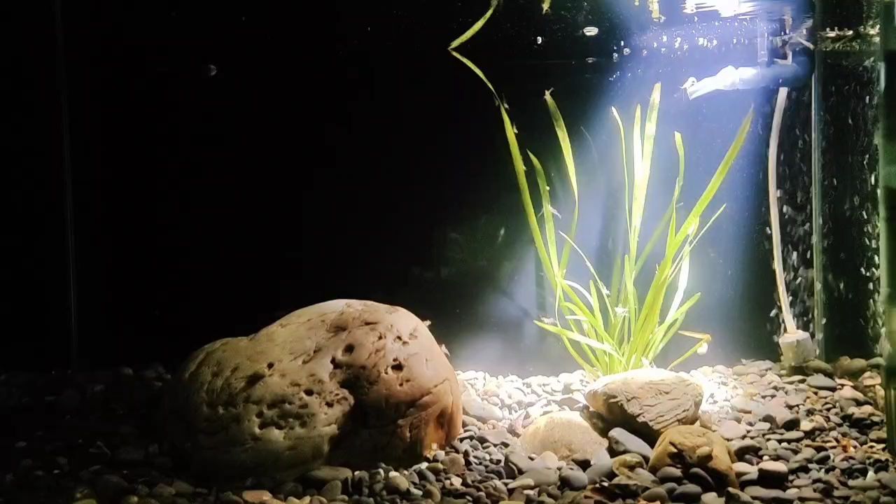 周六魚快