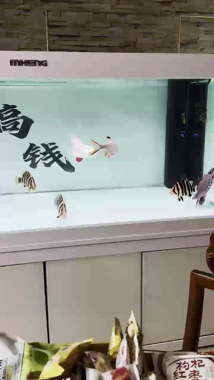 虎