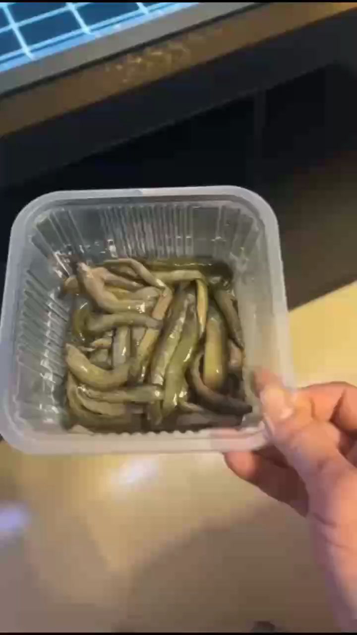 一次又一次的教訓(xùn)偏偏不信，不可能喂泥鰍魚會死