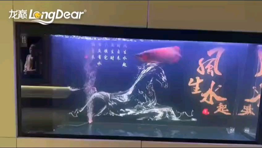 魚缸用增氧泵價(jià)格是多少:魚缸增氧機(jī)-xtrac增氧機(jī)-xtrac增氧機(jī) 轉(zhuǎn)發(fā)751 龍魚論壇 轉(zhuǎn)發(fā)751 轉(zhuǎn)發(fā)751 龍魚論壇
