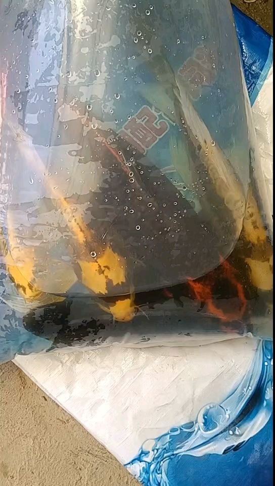 來一波
