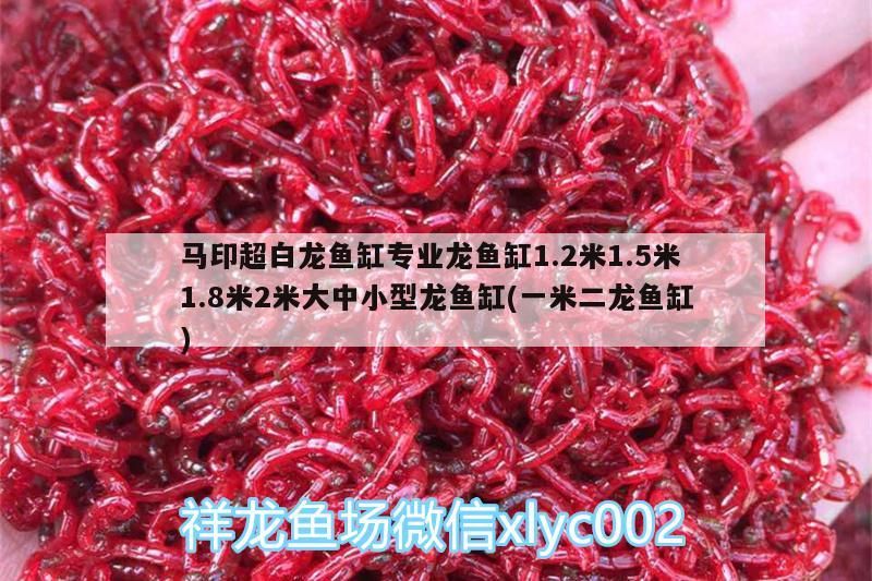 馬印超白龍魚缸專業龍魚缸1.2米1.5米1.8米2米大中小型龍魚缸(一米二龍魚缸)