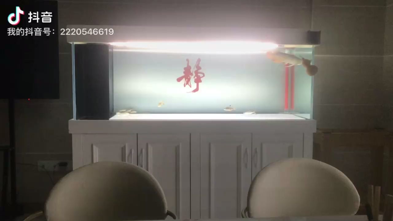 躲溢流區不動