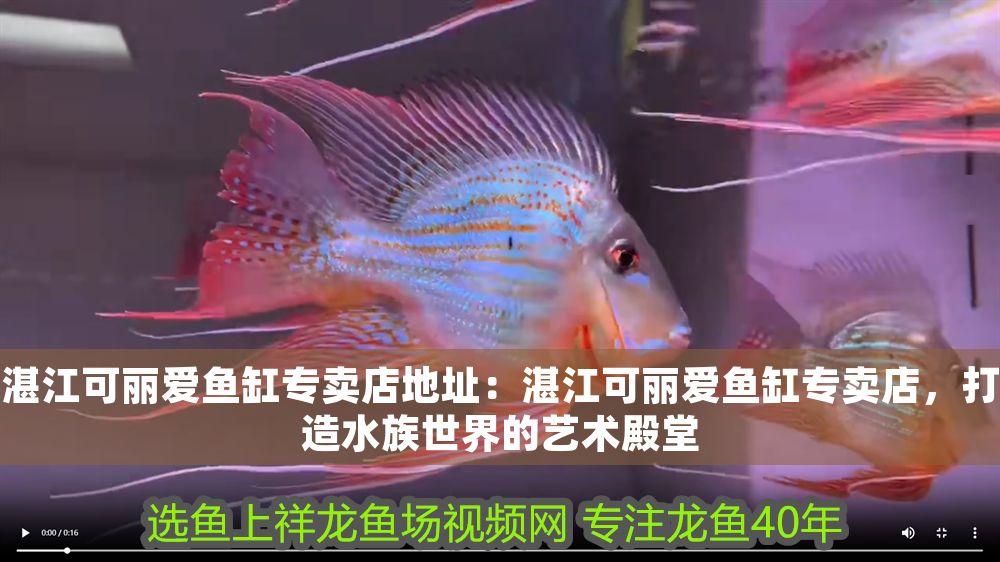 湛江可麗愛魚缸專賣店地址：湛江可麗愛魚缸專賣店，打造水族世界的藝術殿堂