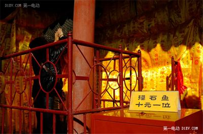 怎樣治療龍魚掉眼淚的病：龍魚掉眼淚的治療攻略，守護(hù)水中貴族的健康