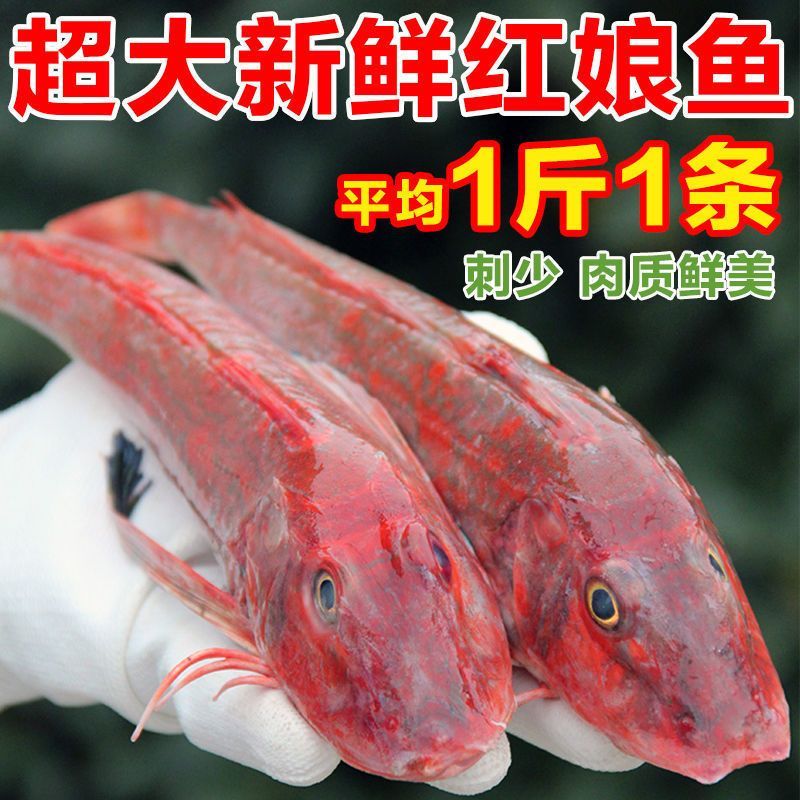 紅頭魚觀賞魚（紅頭魚是一種常見的食用魚品種紅頭魚的養殖技巧） 紅頭魚觀賞魚（紅頭魚是一種常見的食用魚品種紅頭魚的養殖技巧） 新加坡三巴旺 第2張