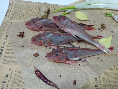 紅頭魚觀賞魚（紅頭魚是一種常見的食用魚品種紅頭魚的養殖技巧） 紅頭魚觀賞魚（紅頭魚是一種常見的食用魚品種紅頭魚的養殖技巧） 新加坡三巴旺 第3張