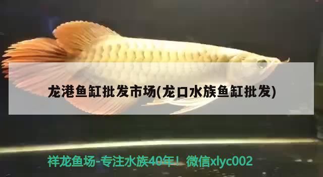 龍港魚缸批發(fā)市場(龍口水族魚缸批發(fā))