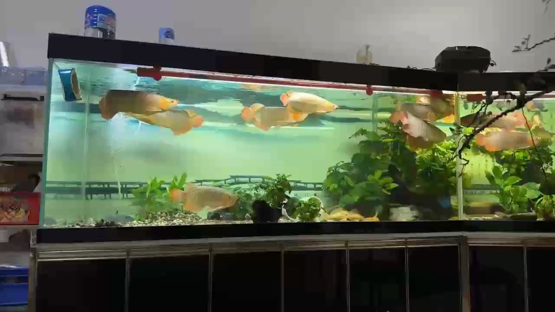 清明時節雨紛紛