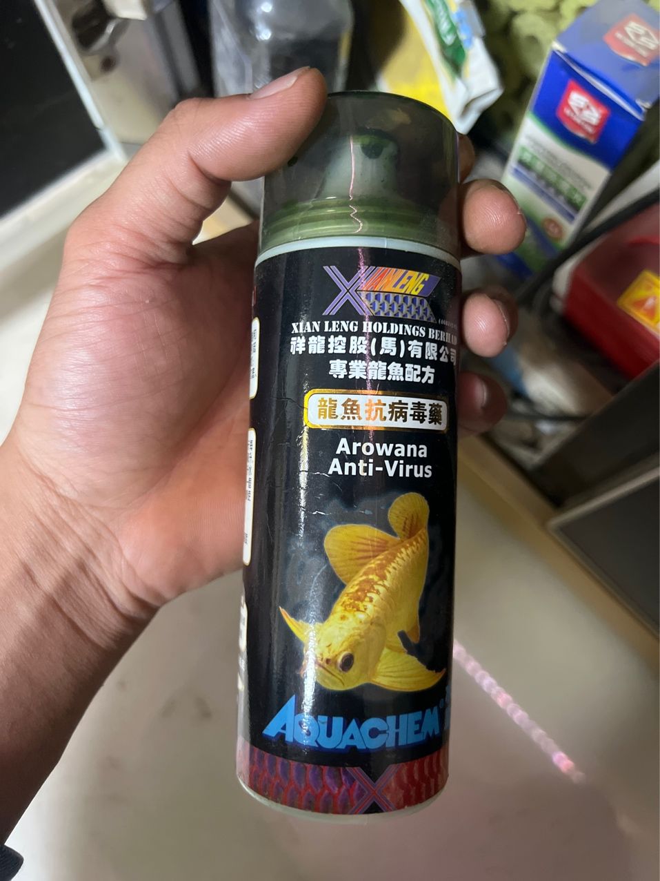 紅龍魚，像是頭洞病，求大神盡快支招。要用