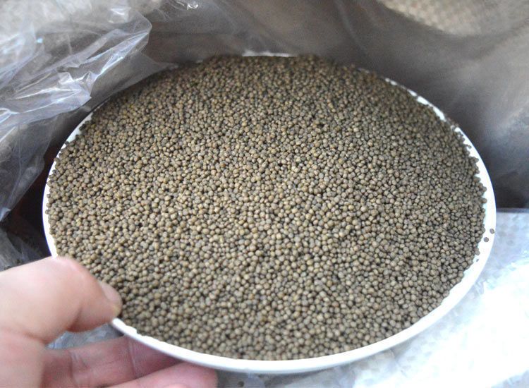 怎樣用燈防止龍魚掉眼睛：巧用燈光魔法，守護龍魚明眸—龍魚掉眼預防全攻略