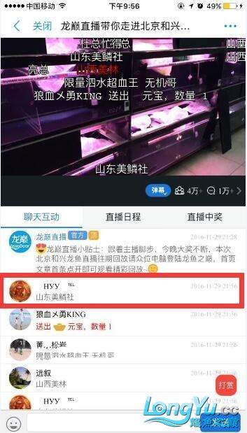 龍巔直播北京和興龍魚貿易前10名中獎情況 龍巔直播北京和興龍魚貿易前10名中獎情況 和興紅龍 第2張