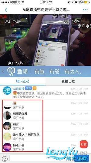 龍巔直播北京和興龍魚貿易前10名中獎情況 和興紅龍 第14張 龍巔直播北京和興龍魚貿易前10名中獎情況 龍巔直播北京和興龍魚貿易前10名中獎情況 和興紅龍 第14張