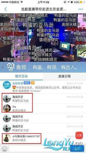 龍巔直播北京和興龍魚貿易前10名中獎情況 和興紅龍 第16張 龍巔直播北京和興龍魚貿易前10名中獎情況 龍巔直播北京和興龍魚貿易前10名中獎情況 和興紅龍 第16張
