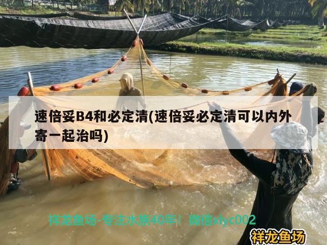 速倍妥B4和必定清(速倍妥必定清可以內外寄一起治嗎)